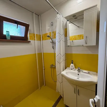 Central Apartments Pleven Apartament *