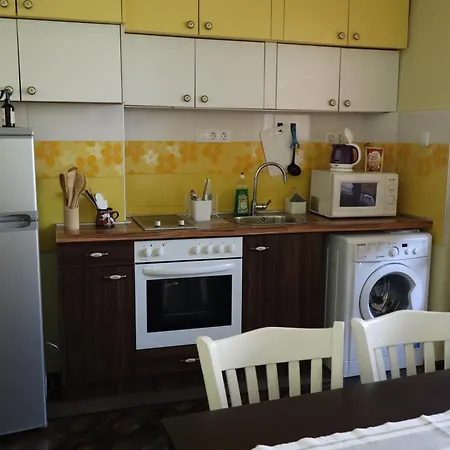 Central Apartments Pleven Apartment Plewen